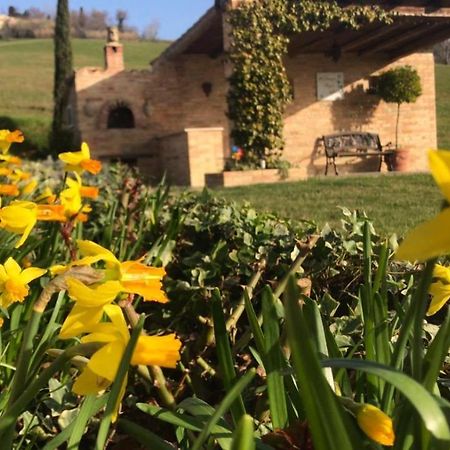 Bed and Breakfast Casale Delle Rondini Tolentino Zewnętrze zdjęcie