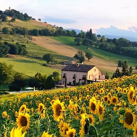 Bed and Breakfast Casale Delle Rondini Tolentino Zewnętrze zdjęcie