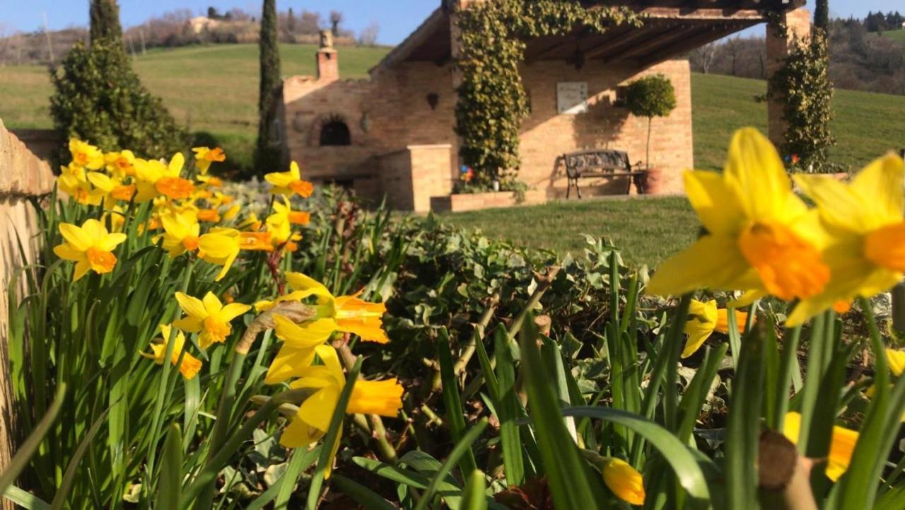 Bed and Breakfast Casale Delle Rondini Tolentino Zewnętrze zdjęcie