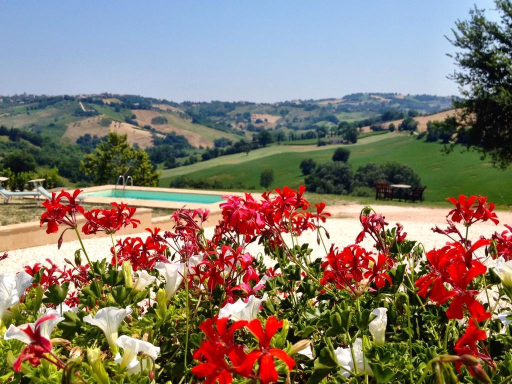 Bed and Breakfast Casale Delle Rondini Tolentino Zewnętrze zdjęcie