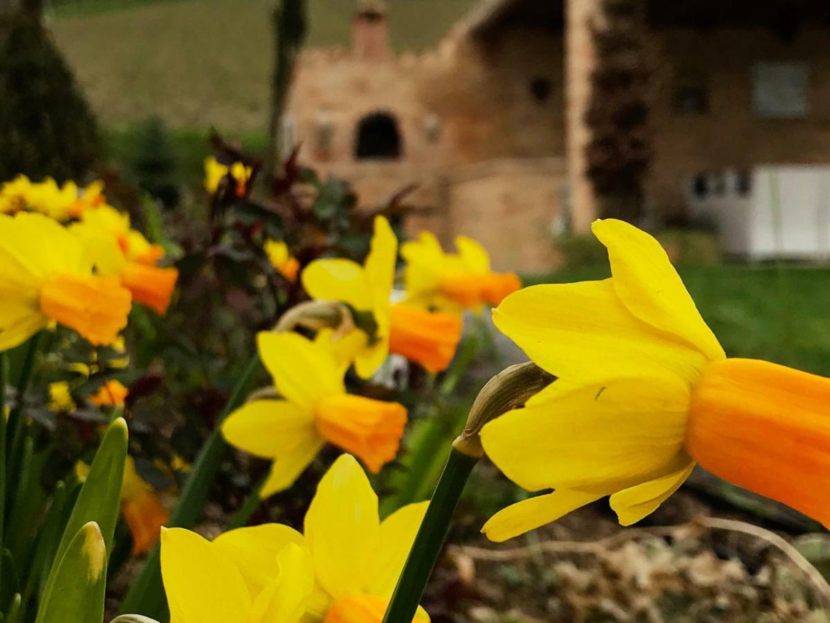 Bed and Breakfast Casale Delle Rondini Tolentino Zewnętrze zdjęcie