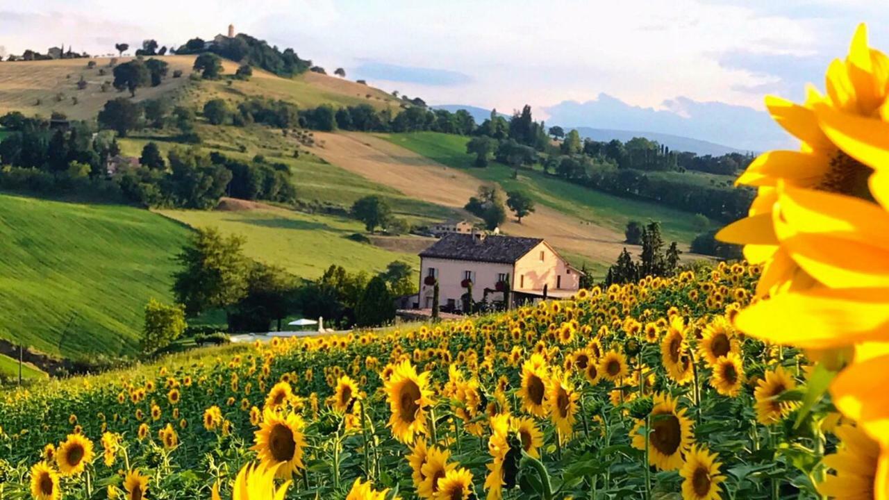 Bed and Breakfast Casale Delle Rondini Tolentino Zewnętrze zdjęcie