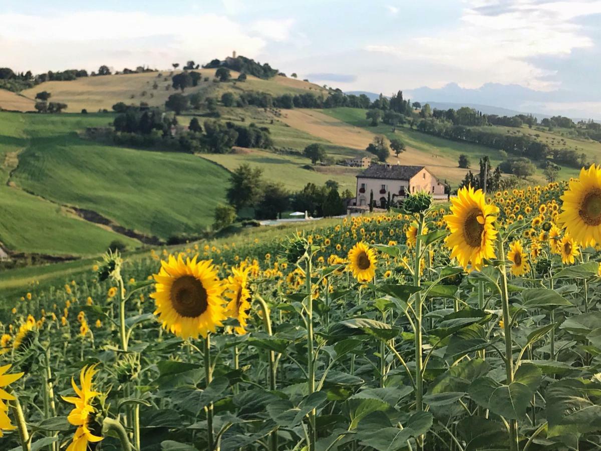 Bed and Breakfast Casale Delle Rondini Tolentino Zewnętrze zdjęcie