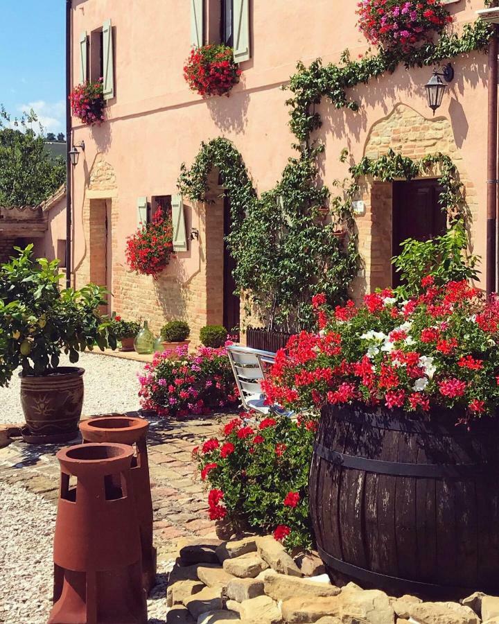 Bed and Breakfast Casale Delle Rondini Tolentino Zewnętrze zdjęcie