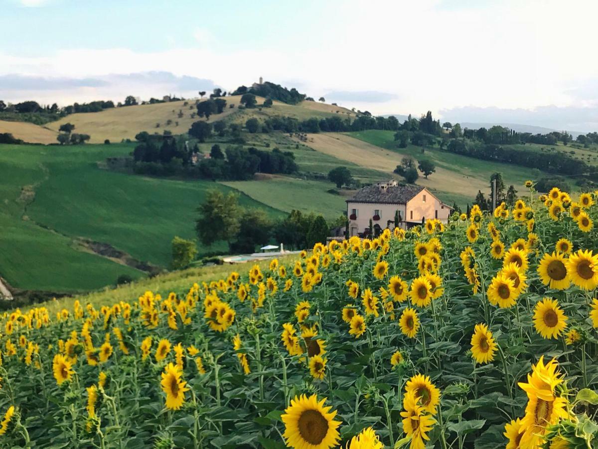 Bed and Breakfast Casale Delle Rondini Tolentino Zewnętrze zdjęcie