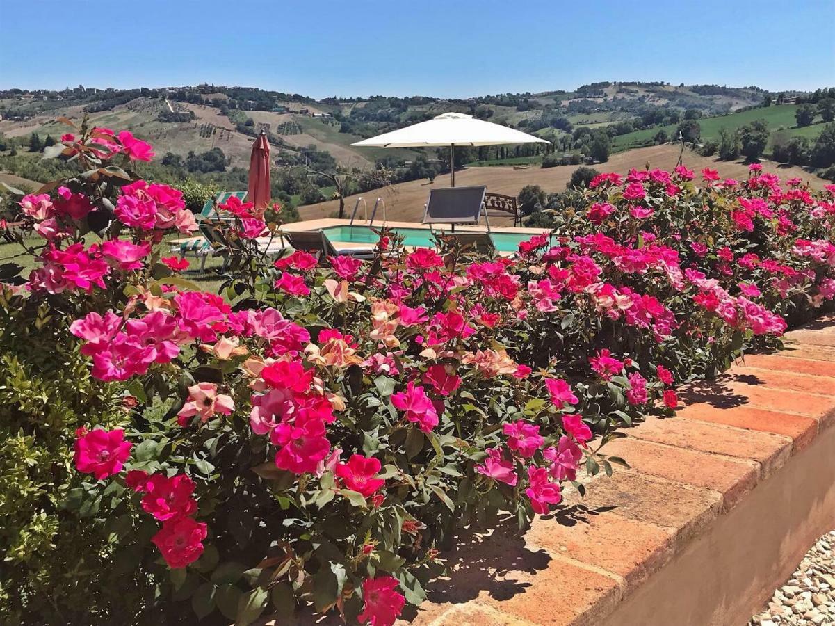 Bed and Breakfast Casale Delle Rondini Tolentino Zewnętrze zdjęcie